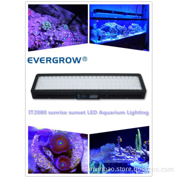 Simulate Sunrise Sunset Moonlight It2080 240W Auto Dimmable LED Aquarium Light